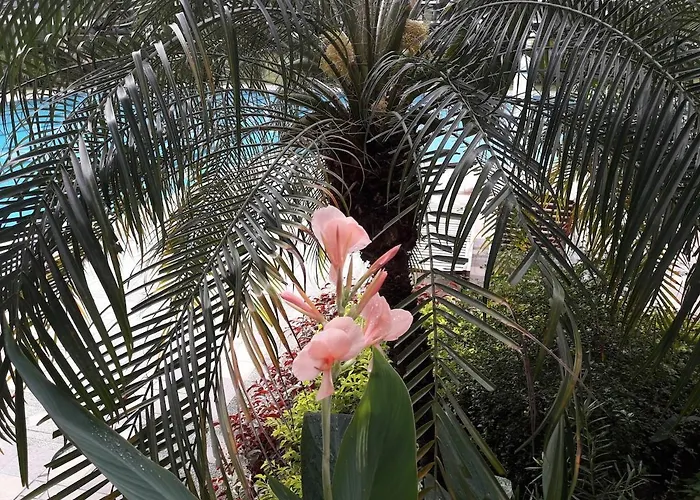 Millionaire Tropical Paradise Penthouse Royal Palm * マニラ市