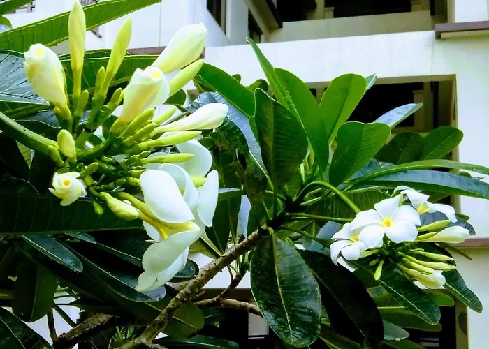 Millionaire Tropical Paradise Penthouse Royal Palm アパート